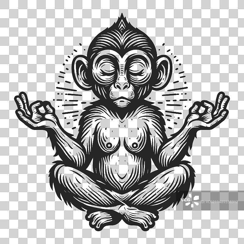 冥想的猴子坐姿素描图片素材