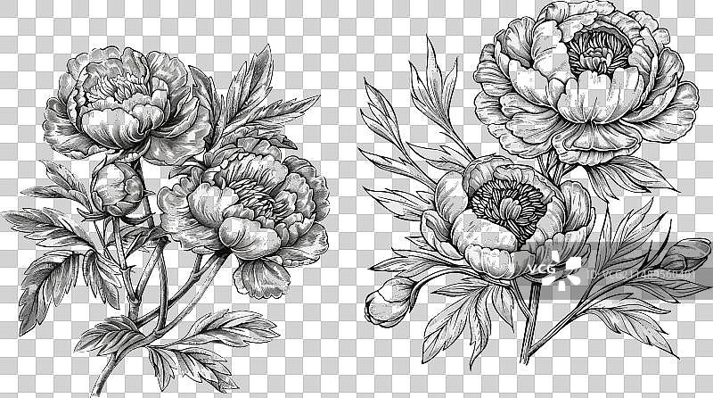 华丽的手绘雕刻图案图片素材