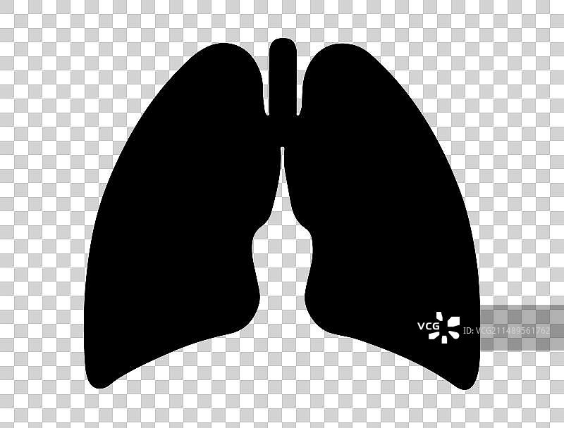 人体肺部剪影艺术图片素材