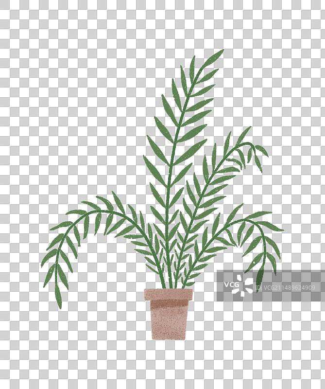 手绘盆栽植物素材，绿化植物，花瓶插花图片素材