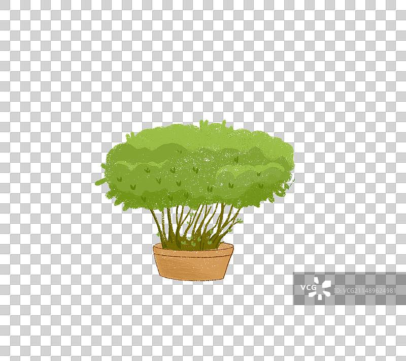 手绘盆栽植物素材，绿化植物，花瓶插花图片素材