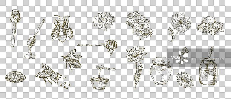 蜂蜜产品与蜜蜂花卉素描套装图片素材