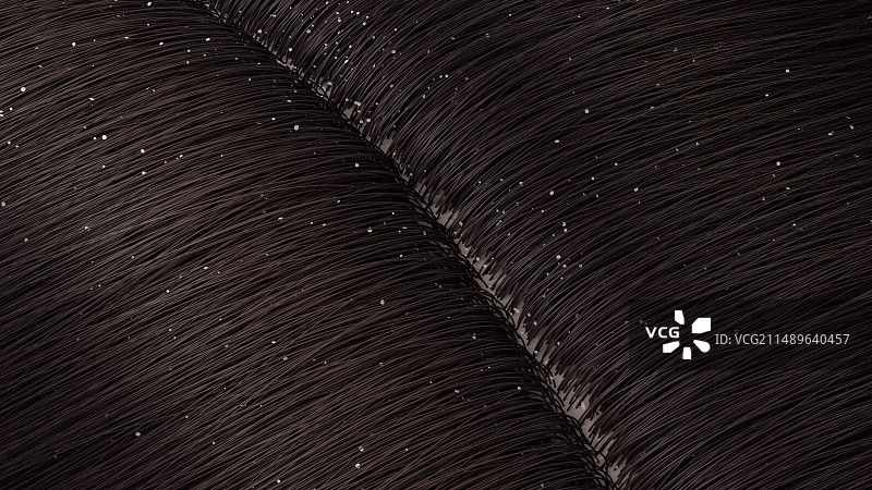 洗发水去屑头皮屑修护洗发护发图片素材