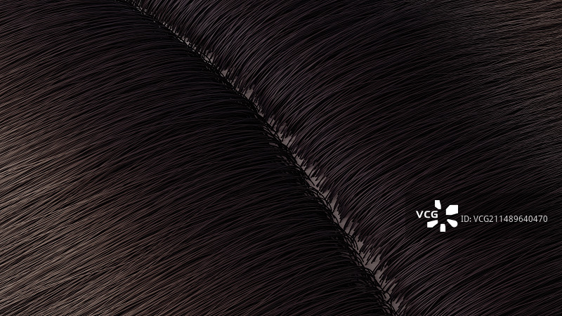 洗发水去屑头皮屑修护洗发护发图片素材