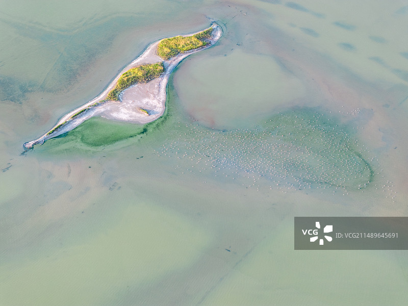 盐湖栖鸟图片素材