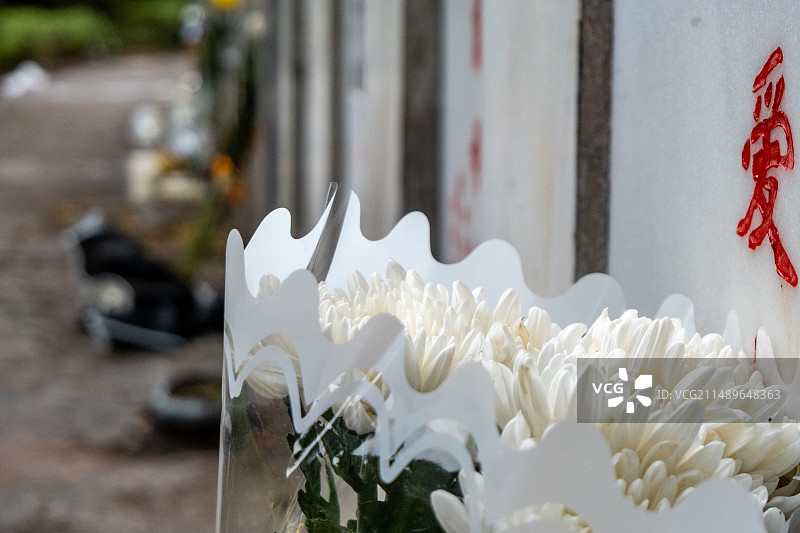 四川省宜宾市公墓祭祀，悼念，怀念，菊花图片素材