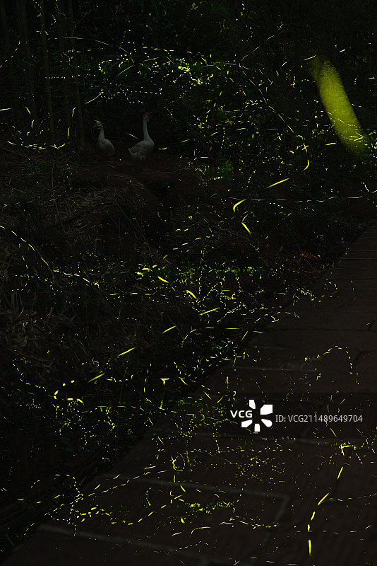 宁静的夜晚装点了一抹绚烂图片素材