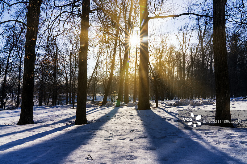 冬日森林暖阳--俄罗斯莫斯科察里津诺庄园风光图片素材
