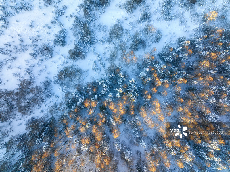 航拍黑龙江大兴安岭冬天林海雪原图片素材