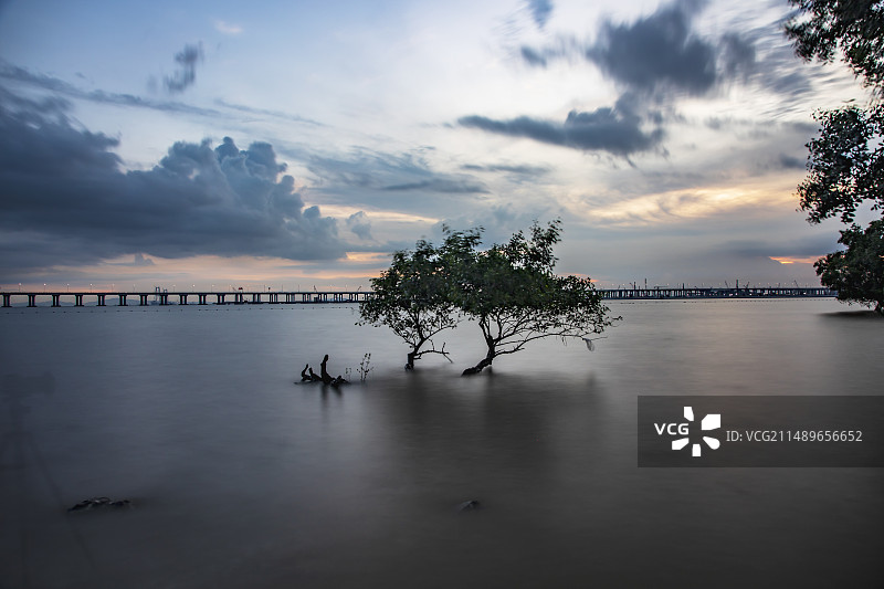 深圳西湾红树林公园图片素材