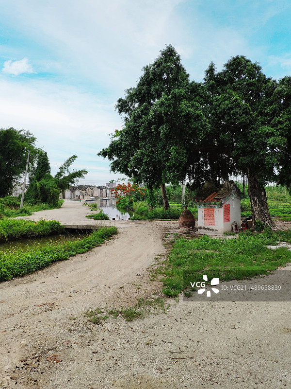 中国广东省揭阳市普宁市梅塘镇竹兴围，朴素的农村乡间风景，鱼塘水池，门口拜祭祈祷祠庙，农作物丰收的季节图片素材