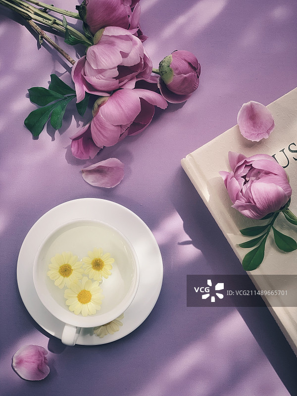 春光里的芍药花图片素材