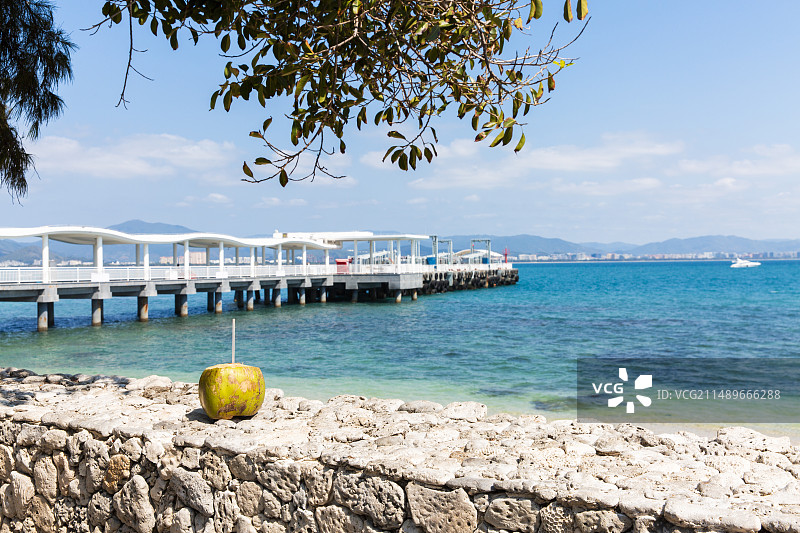 海南三亚西岛海边树下椰子与椰子汁海岸美景图片素材