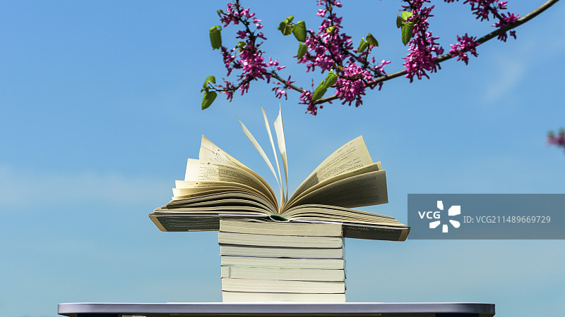 不负春光好读书图片素材