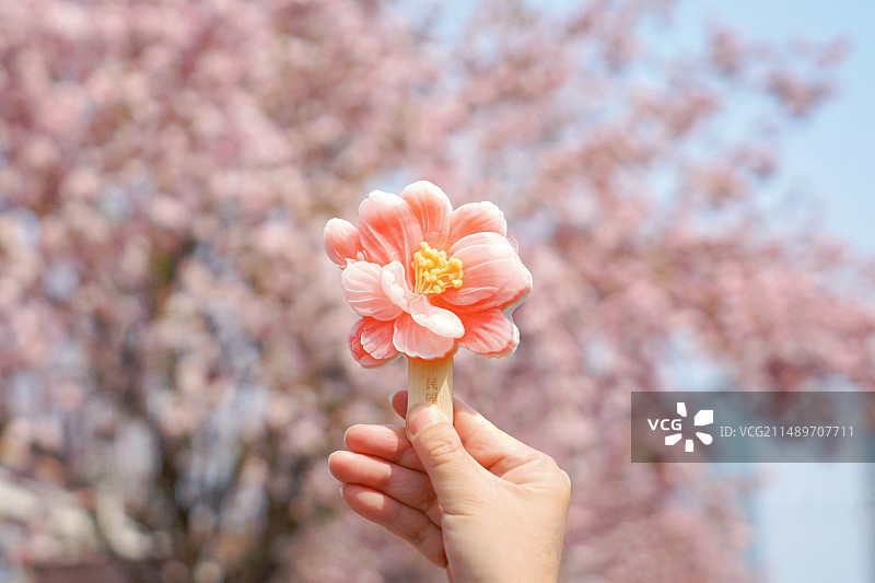 春天天津五大道海棠节海棠花文创雪糕图片素材