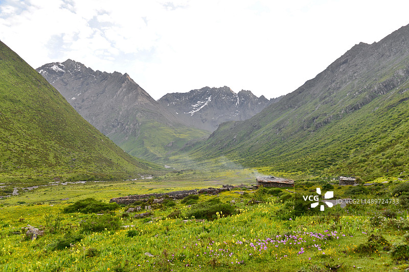 鲜花盛开的山谷里，岩石垒砌的放牛棚子，成都周边著名旅游风景区，四姑娘山海子沟图片素材