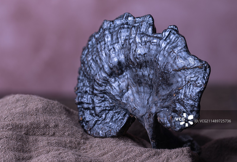 菌科灵芝切片特写图片素材