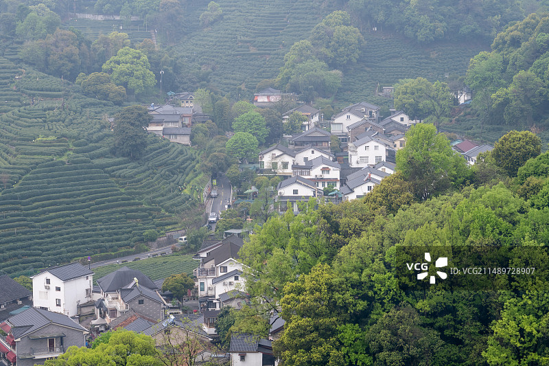 高角度俯瞰山谷中的杭州龙井村图片素材
