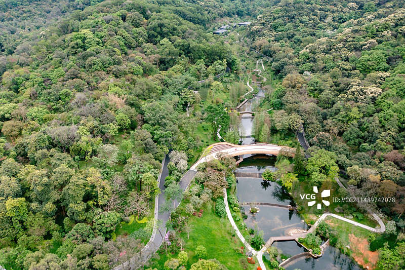 广州云溪植物园图片素材