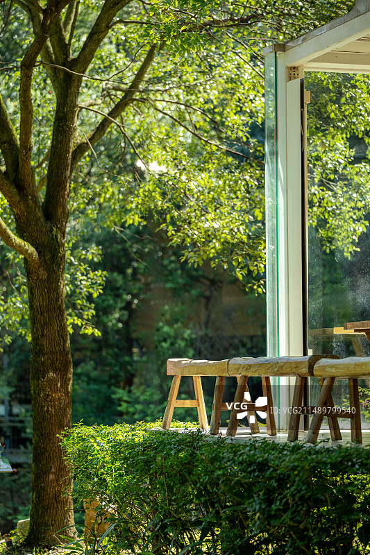 阳光树影图片素材