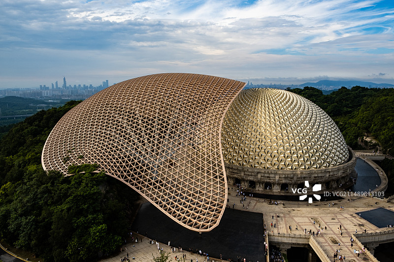 树是梧桐树，山是牛首山图片素材
