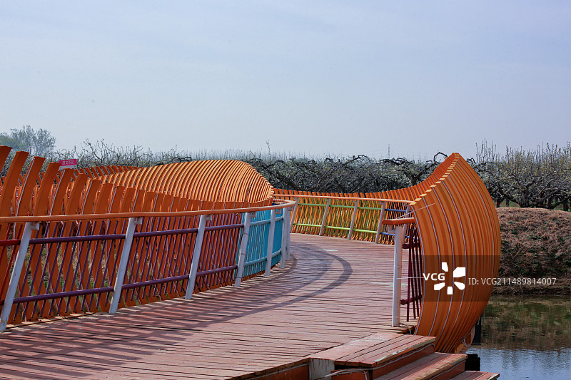 雄安新区雄县万亩梨园花盛开马蹄湾村图片素材