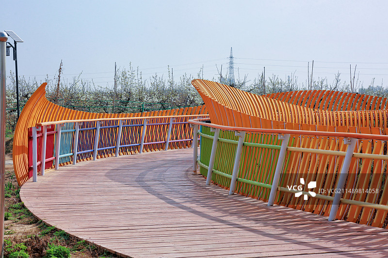 雄安新区雄县万亩梨园花盛开马蹄湾村图片素材