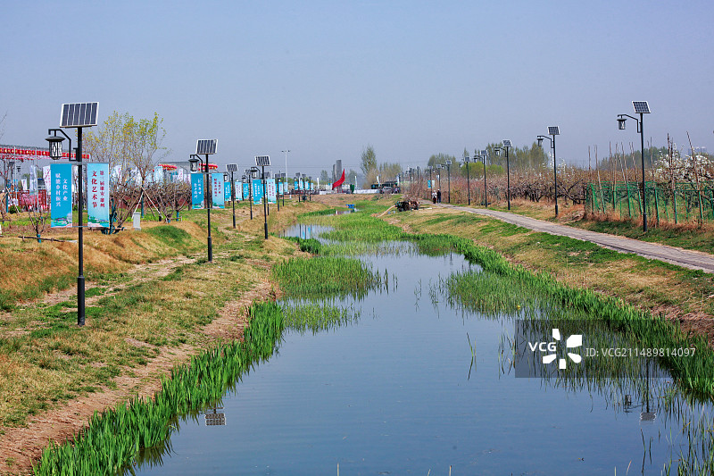 雄安新区雄县万亩梨园花盛开马蹄湾村图片素材