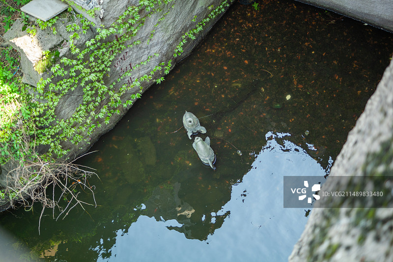 绍兴羊山公园·石佛禅寺图片素材