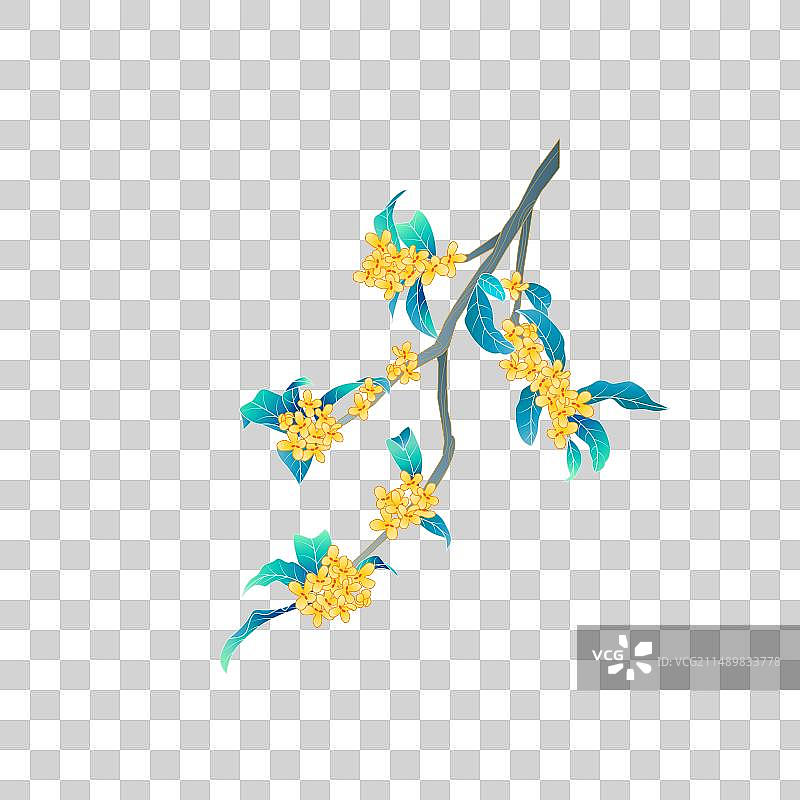 桂花花枝矢量插画元素图片素材