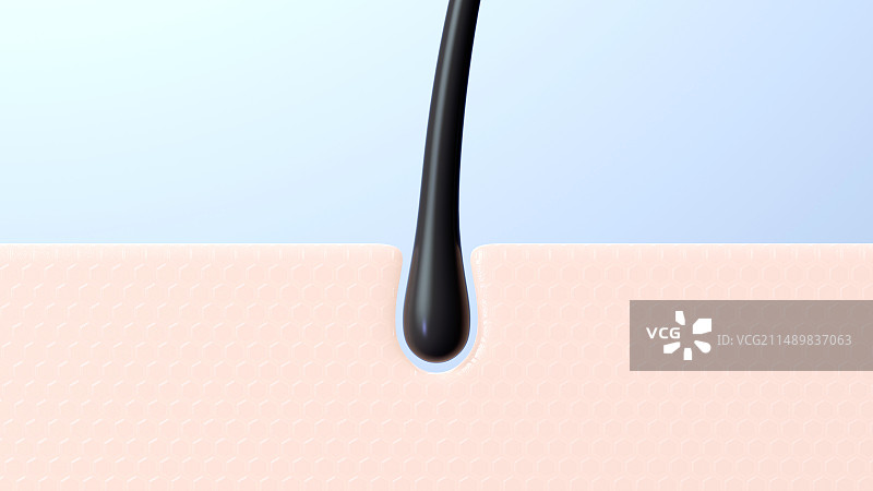 发根毛囊去油控油洗发水图片素材