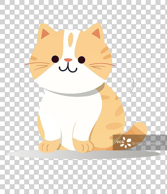 一只可爱的黄色橘猫图片素材