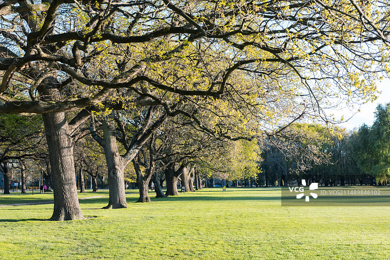 公园 草坪 素材图片素材