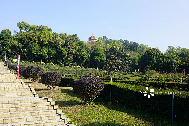 中山紫马岭公园图片素材
