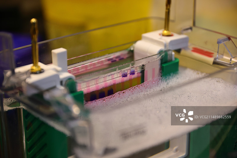 正在加入蛋白样品进行sds-page凝胶电泳图片素材