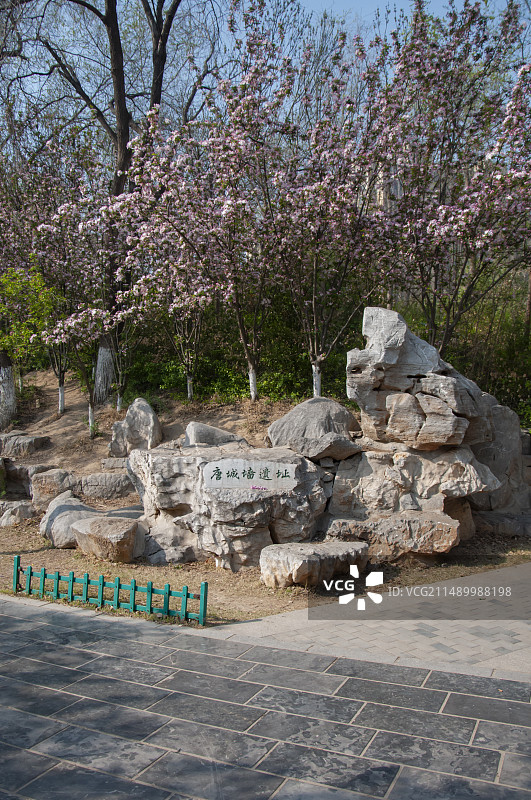 德州陵城区唐城墙遗址图片素材