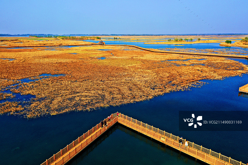华北明珠白洋淀湿地公园图片素材