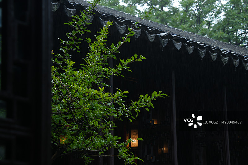 苏州留园雨中风景图片素材