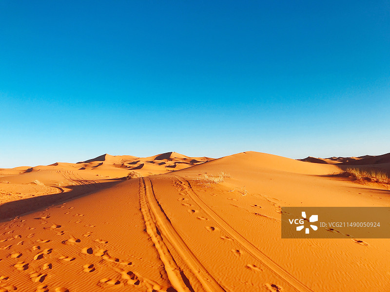 撒哈拉图片素材