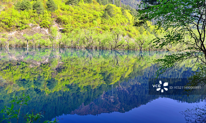 九寨沟好似仙境一般的景色，颜色绚丽的各种湖泊水面图片素材