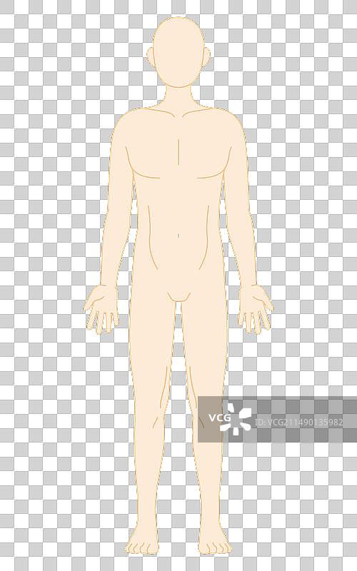 人体裸露和正面视图图片素材