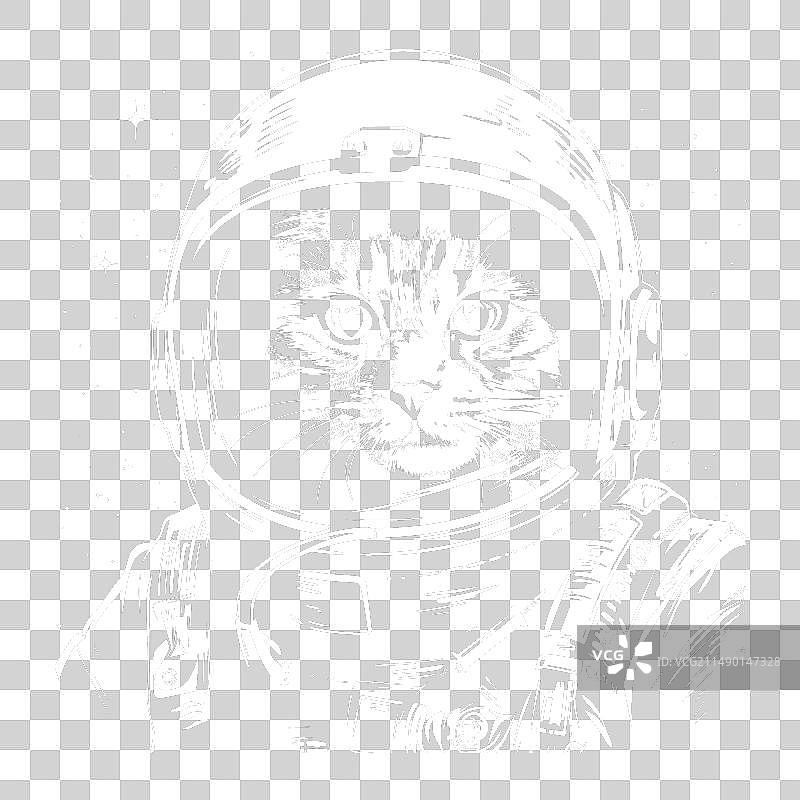 戴太空头盔的猫图片素材