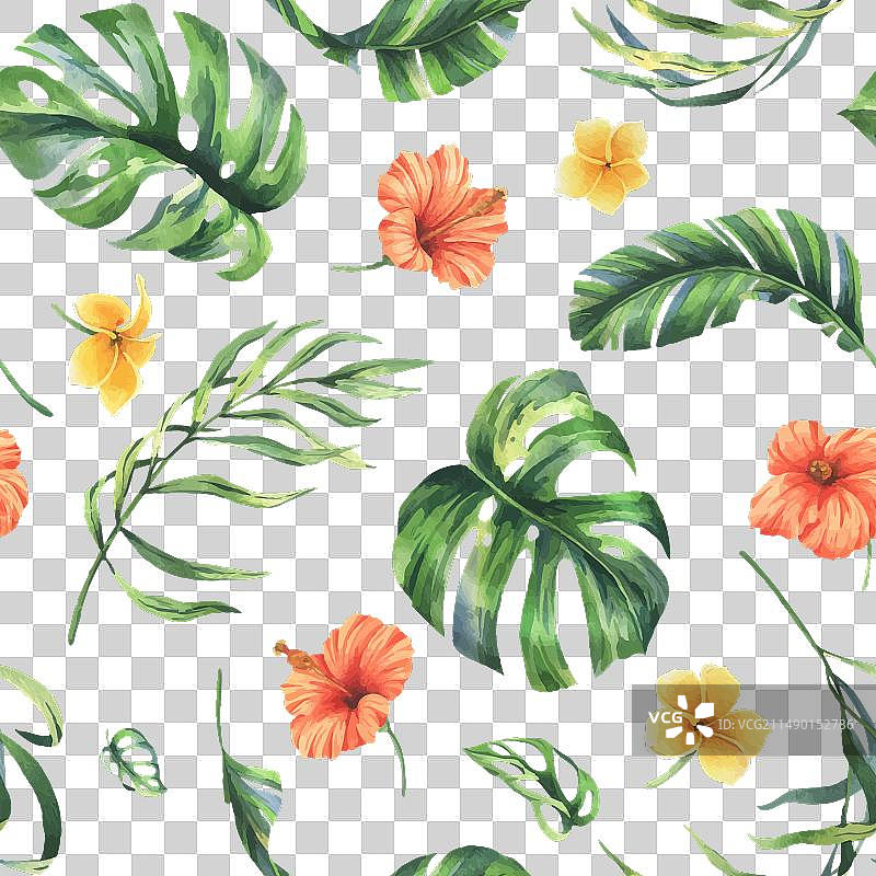 热带棕榈叶和花卉图片素材