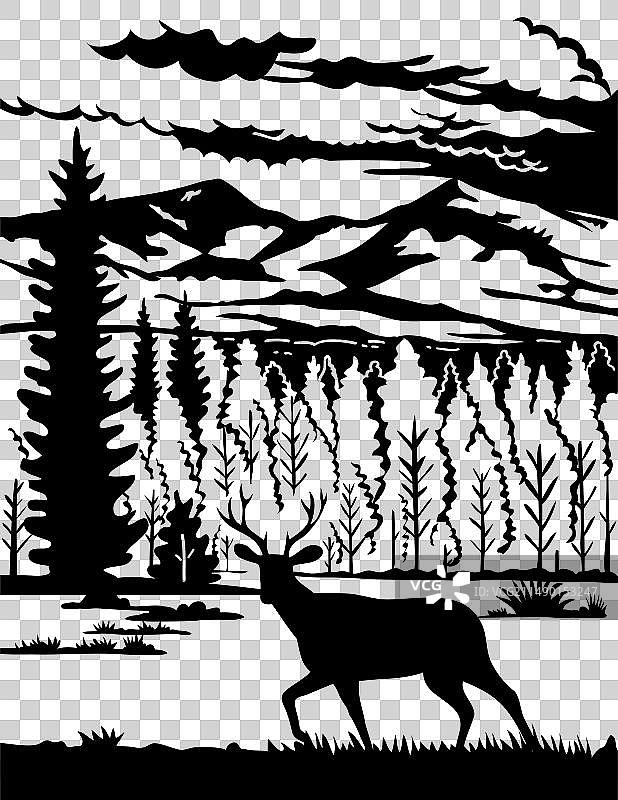 林肯县卡皮坦山脉的骡鹿图片素材