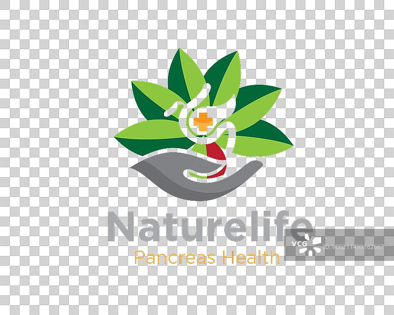 医疗胰腺保健Logo设计图片素材