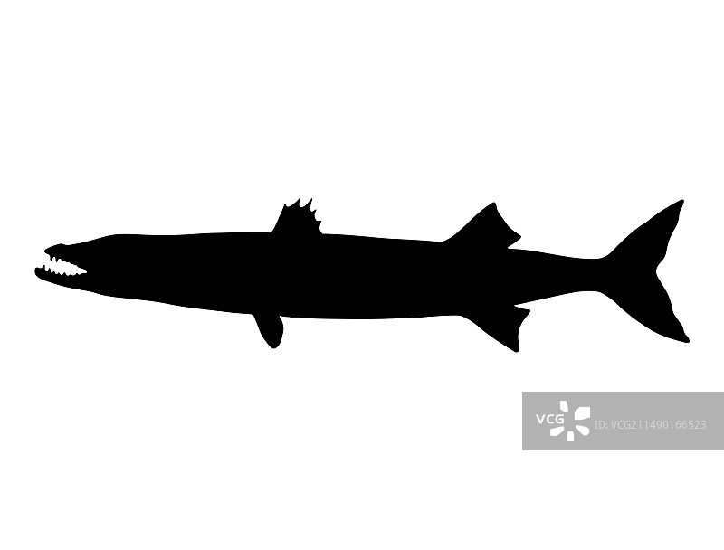 金梭鱼剪影艺术图片素材