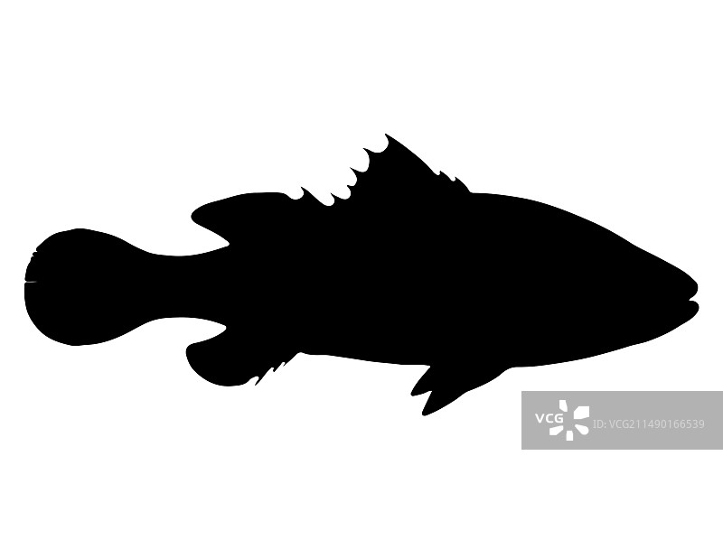 澳洲肺鱼剪影艺术图片素材