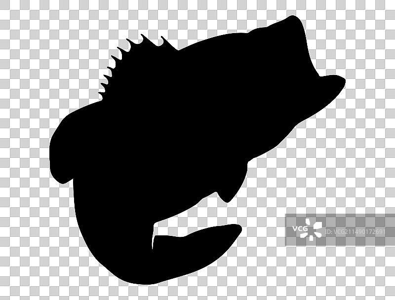 鲈鱼剪影艺术图片素材