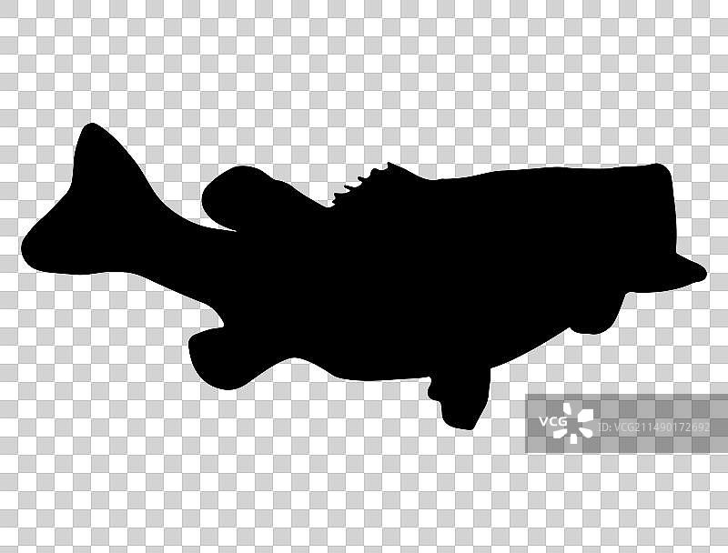 鲈鱼剪影艺术图片素材