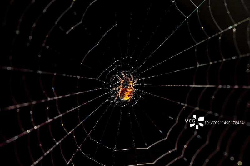 网络管理员图片素材